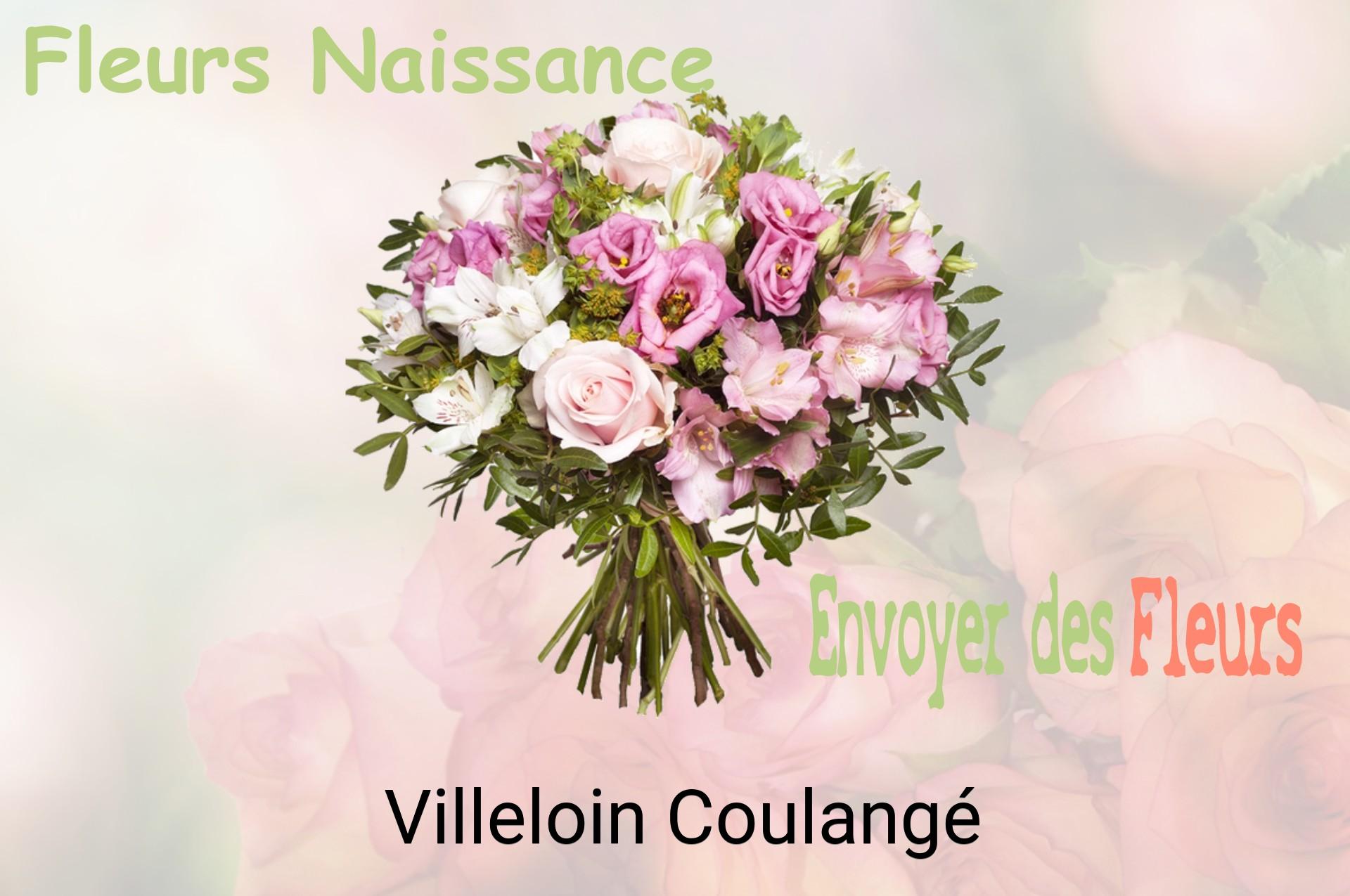 Bouquet de fleurs de naissance livré à Villeloin-Coulangé